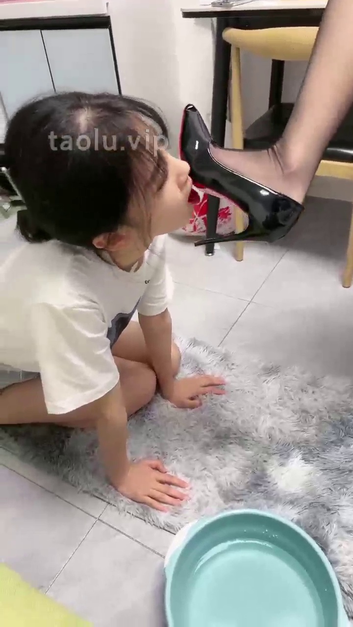 橙宝